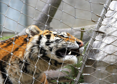 Maille du zoo 316/316L d'acier inoxydable, clôture protectrice de clôture de cage de tigre