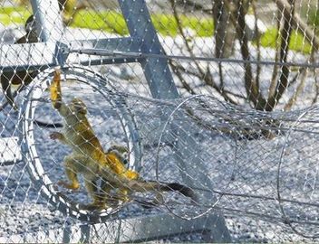 Type de 316 olives maille de zoo d'acier inoxydable de corde de câble pour la fabrication d'oiseau de filet de volière